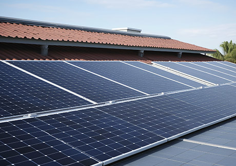 巅峰国际官网-钻营健全,你我一路成长