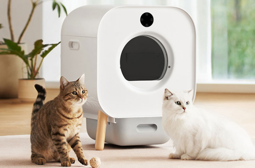 巅峰国际官网-钻营健全,你我一路成长